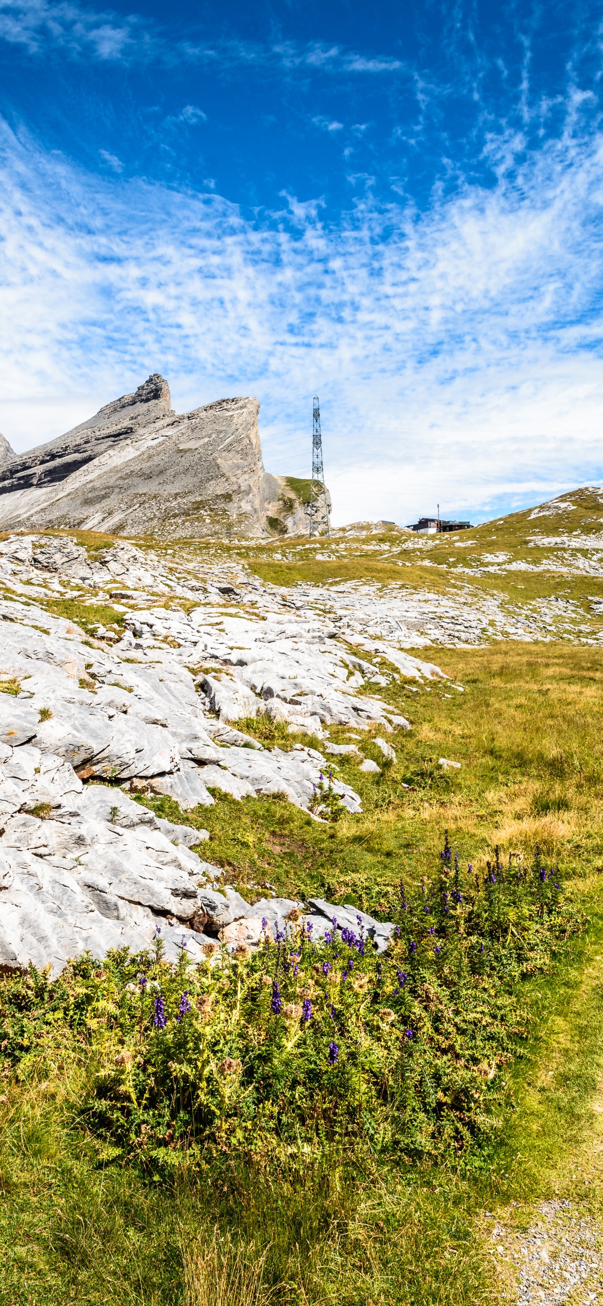 Cloud, Plant, Mountain, Natural Landscape, Slope. Wallpaper in 1242x2688 Resolution