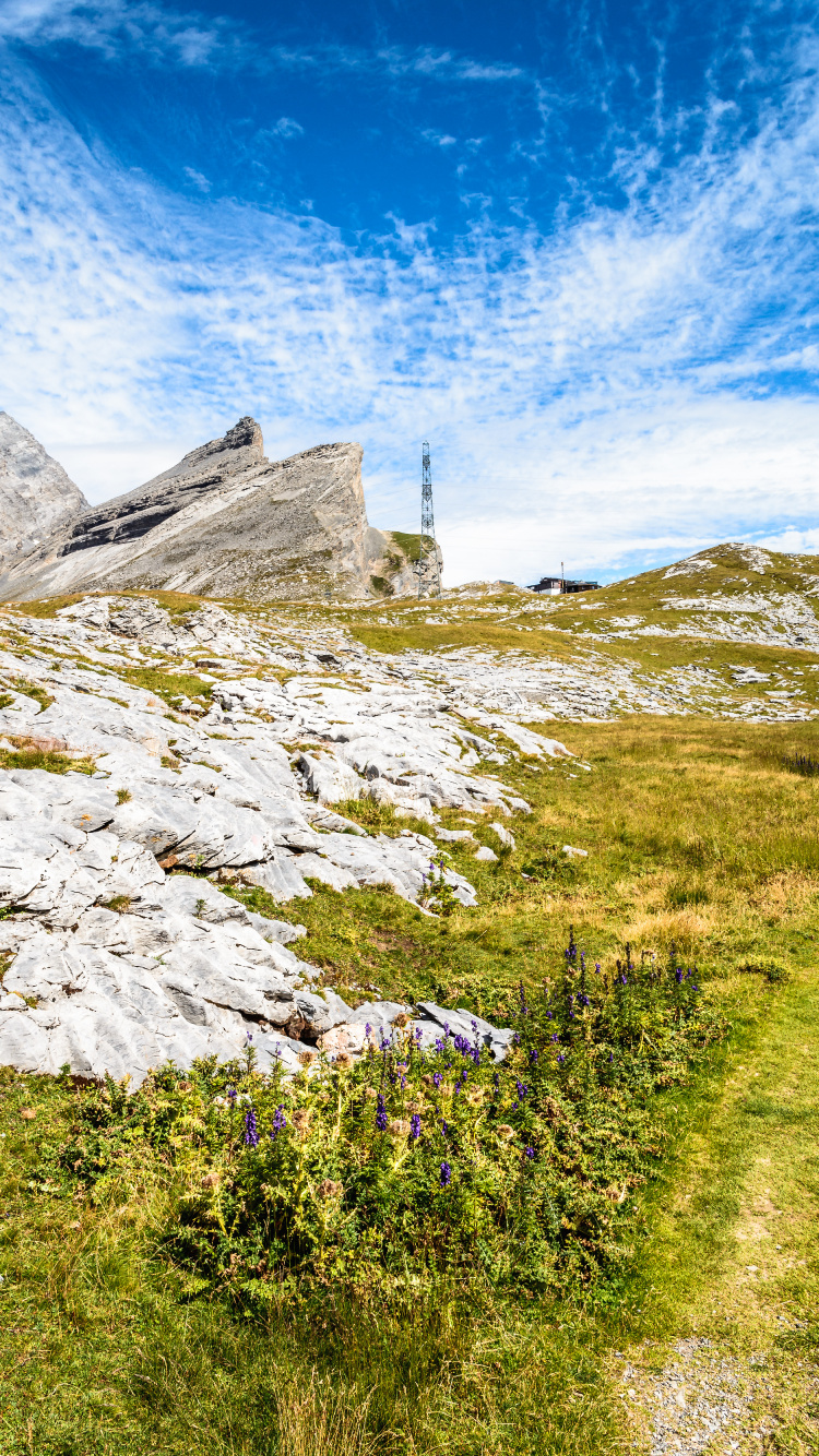 Cloud, Plant, Mountain, Natural Landscape, Slope. Wallpaper in 750x1334 Resolution