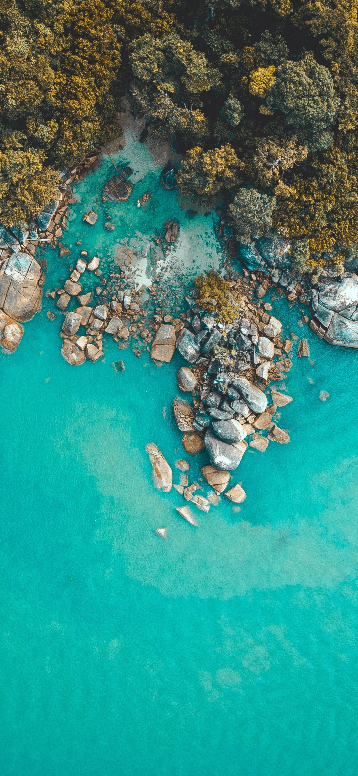 Turquoise, Récif, Ocan, Zones Côtières et Océaniques de Reliefs, Mer. Wallpaper in 1242x2688 Resolution