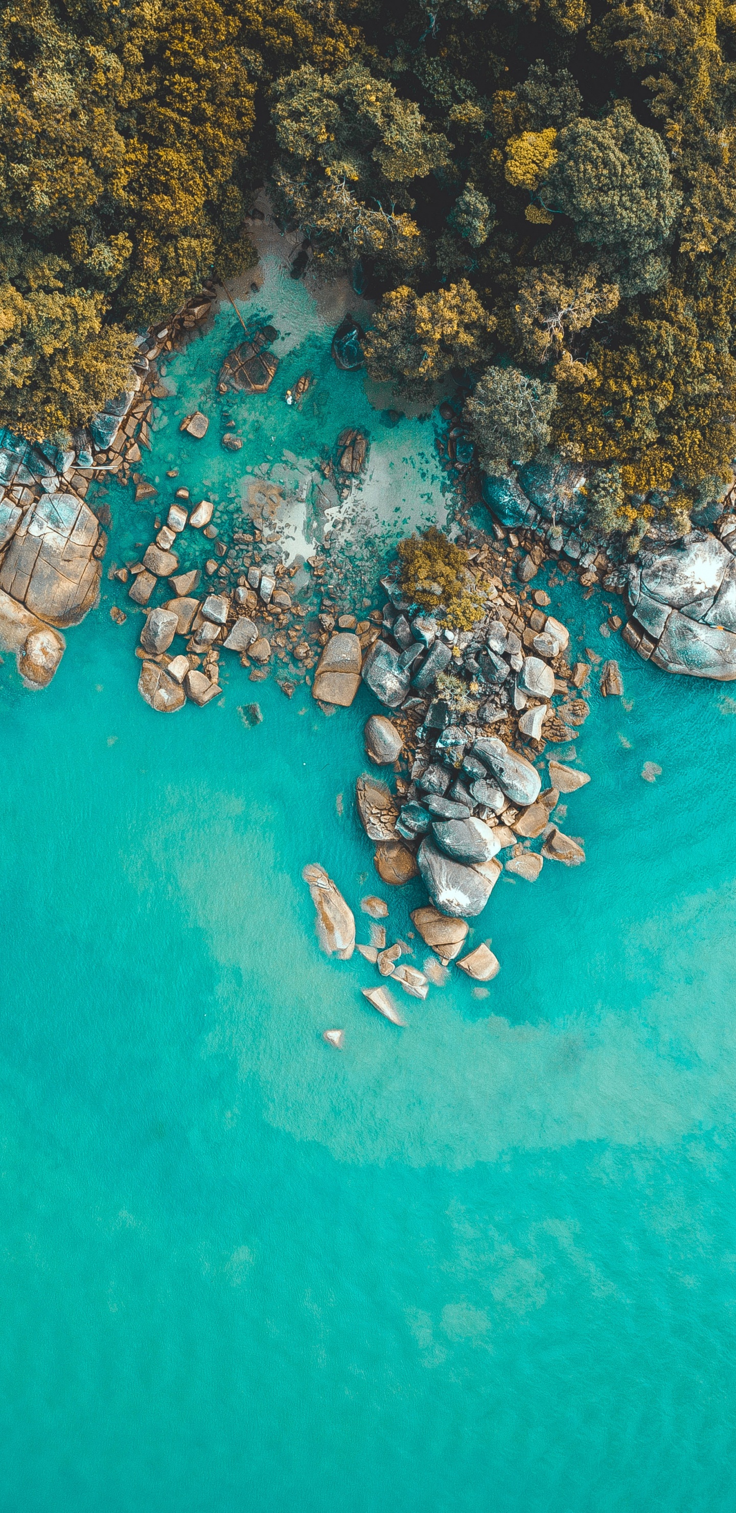 Turquoise, Récif, Ocan, Zones Côtières et Océaniques de Reliefs, Mer. Wallpaper in 1440x2960 Resolution