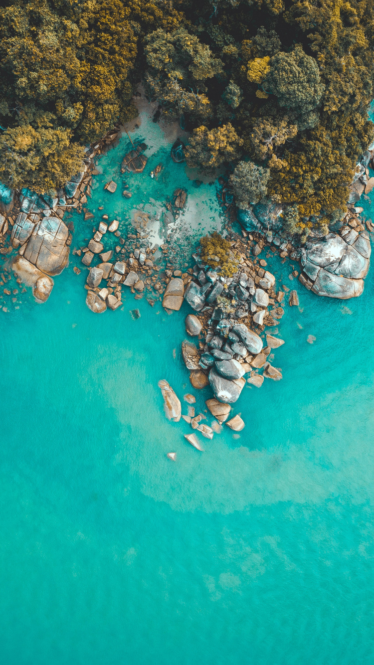 Turquoise, Récif, Ocan, Zones Côtières et Océaniques de Reliefs, Mer. Wallpaper in 750x1334 Resolution