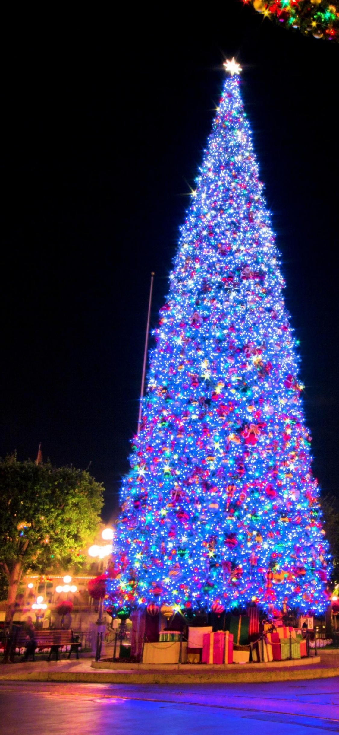 Arbre de Noël, Guirlande, Nouvelle Année, Décoration de Noël, Les Lumières de Noël. Wallpaper in 1125x2436 Resolution