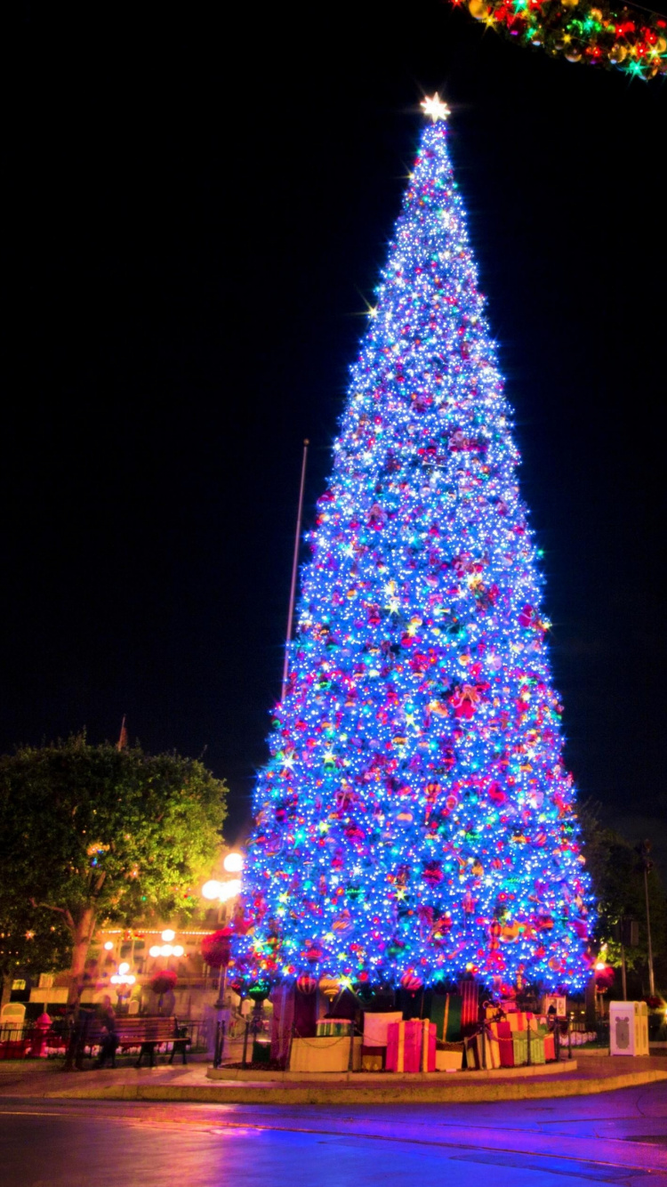 Arbre de Noël, Guirlande, Nouvelle Année, Décoration de Noël, Les Lumières de Noël. Wallpaper in 750x1334 Resolution