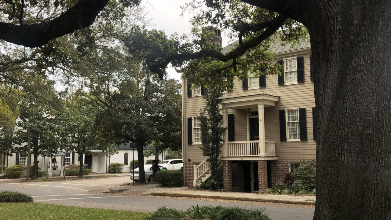 Sucursal, Planta Leñosa, de Hoja Caduca, Parque, Banco. Wallpaper in 1280x720 Resolution