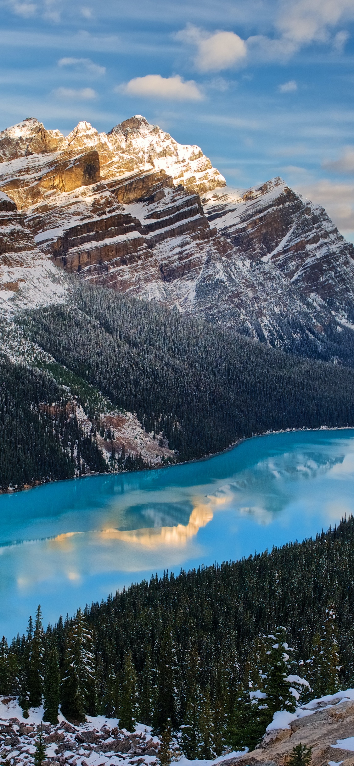 Lac Peyto, le Lac Peyto, Banff, Nature, Lac. Wallpaper in 1125x2436 Resolution