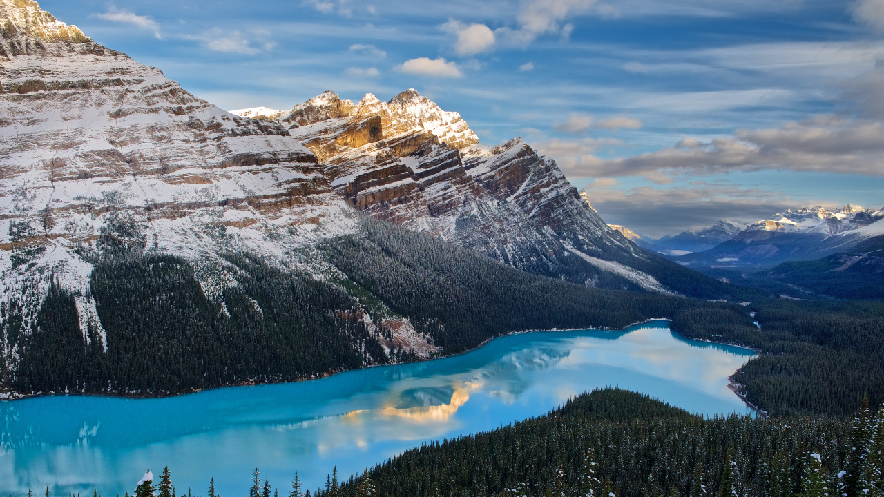 Lac Peyto, le Lac Peyto, Banff, Nature, Lac. Wallpaper in 1280x720 Resolution