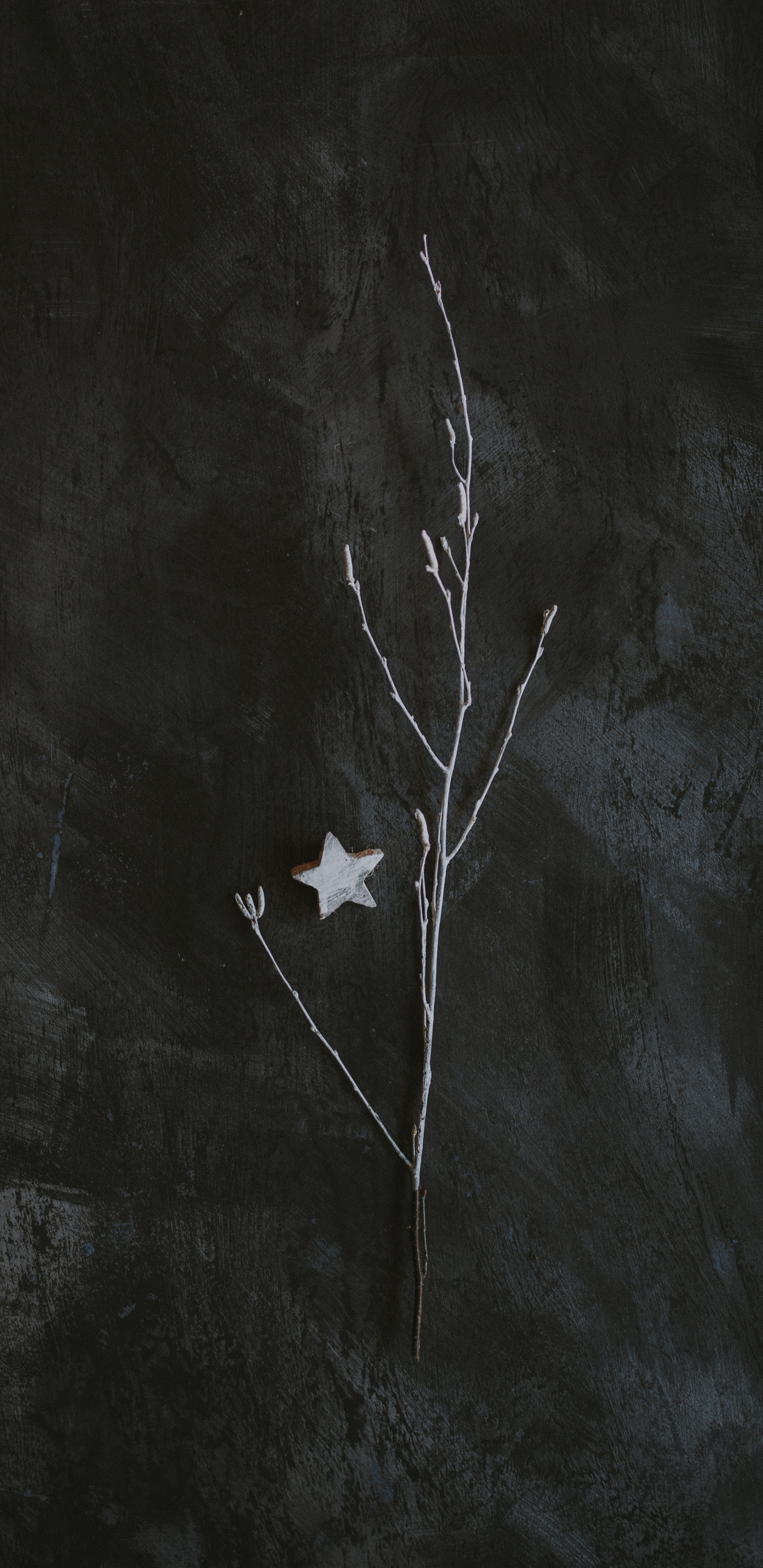 Hoja de Arce Blanca Sobre Textil Blanco. Wallpaper in 1440x2960 Resolution