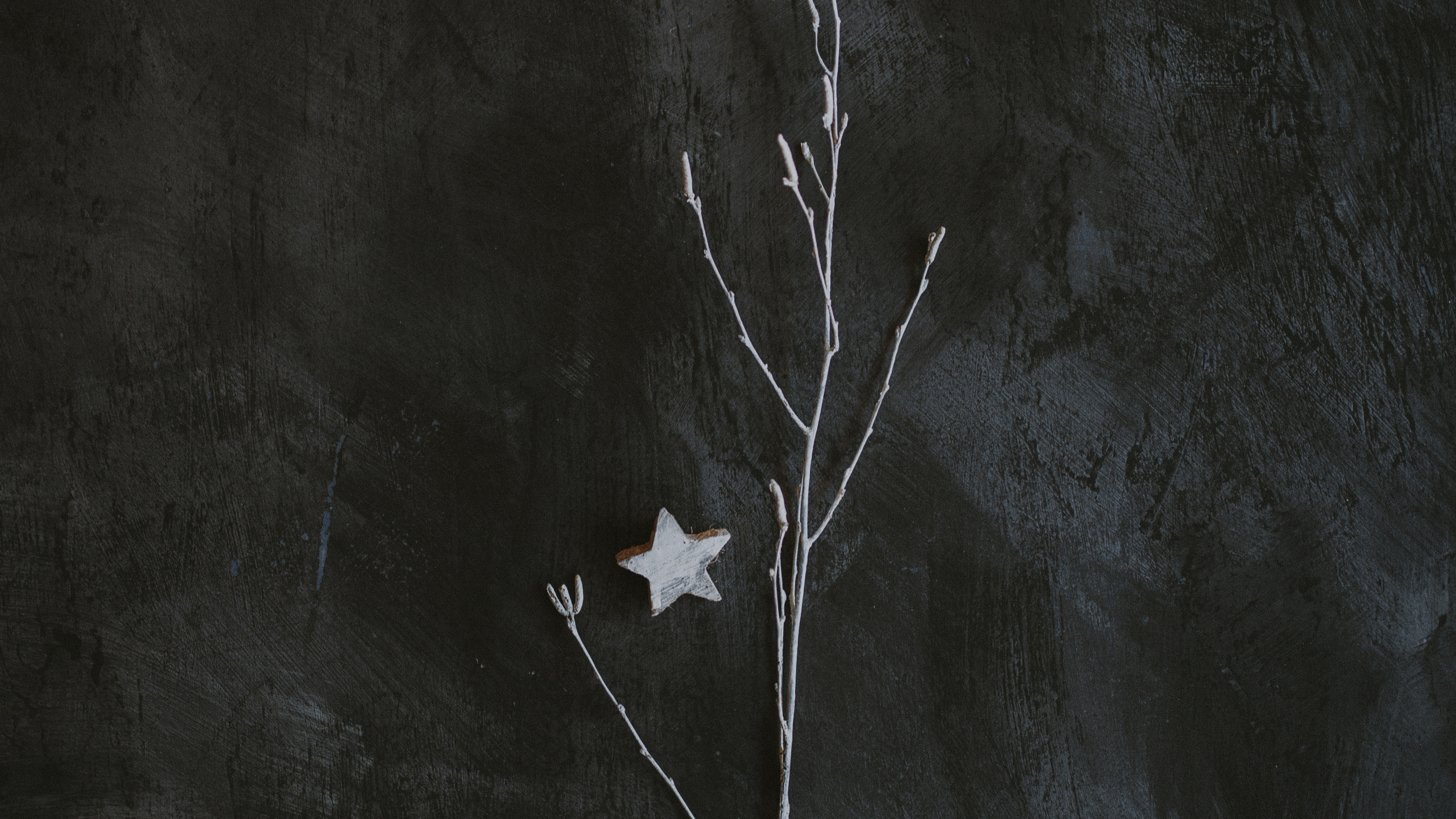 Hoja de Arce Blanca Sobre Textil Blanco. Wallpaper in 2560x1440 Resolution