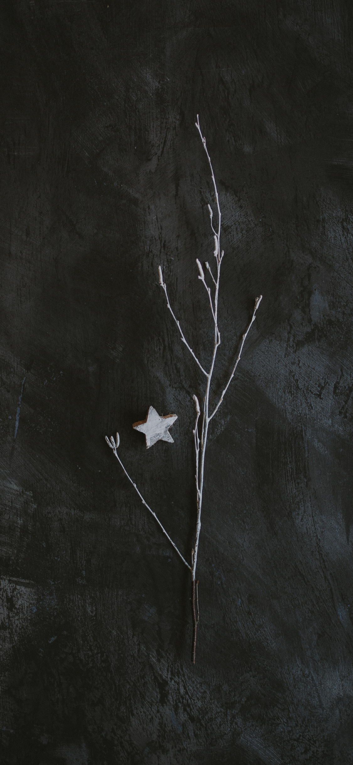 Feuille D'érable Blanche Sur Textile Blanc. Wallpaper in 1125x2436 Resolution