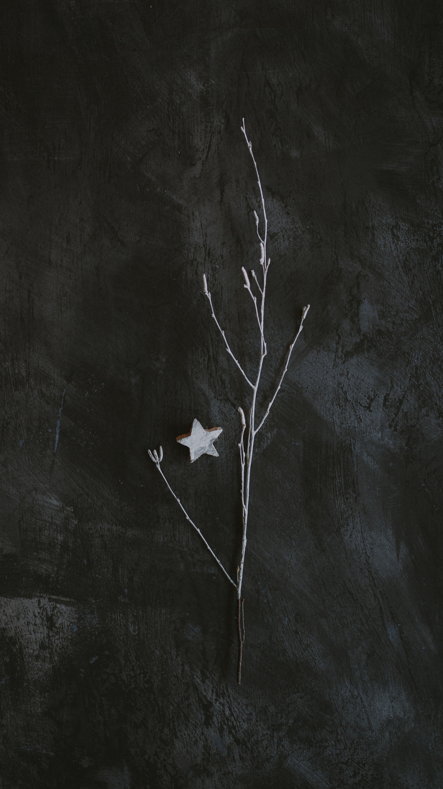 Feuille D'érable Blanche Sur Textile Blanc. Wallpaper in 1440x2560 Resolution