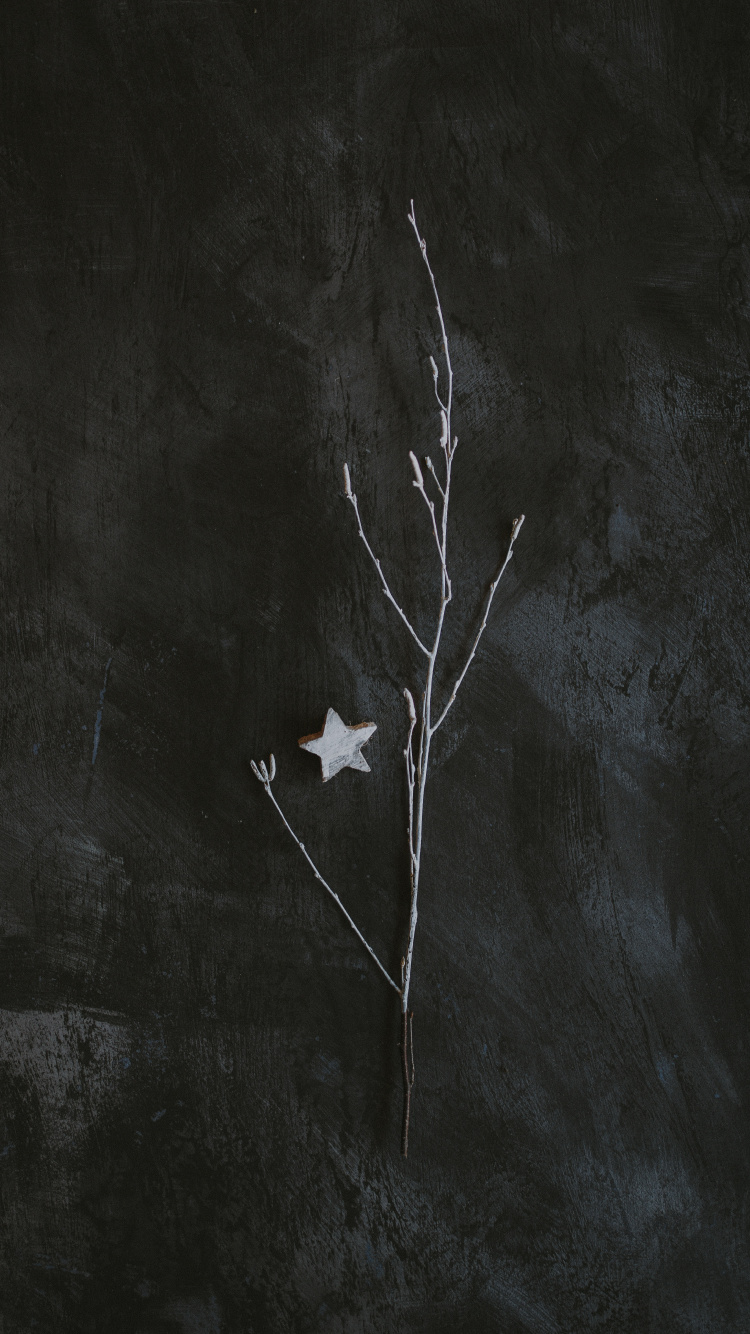 黑色和白色的, 黑色的, 空间, 黑色 白色 - M, 三叉戟 壁纸 750x1334 允许