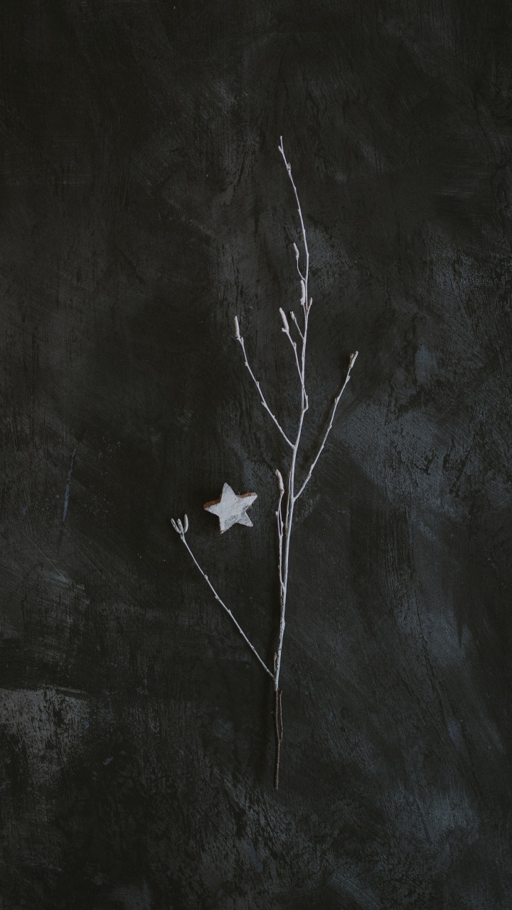 Weißes Ahornblatt Auf Weißem Textil. Wallpaper in 720x1280 Resolution