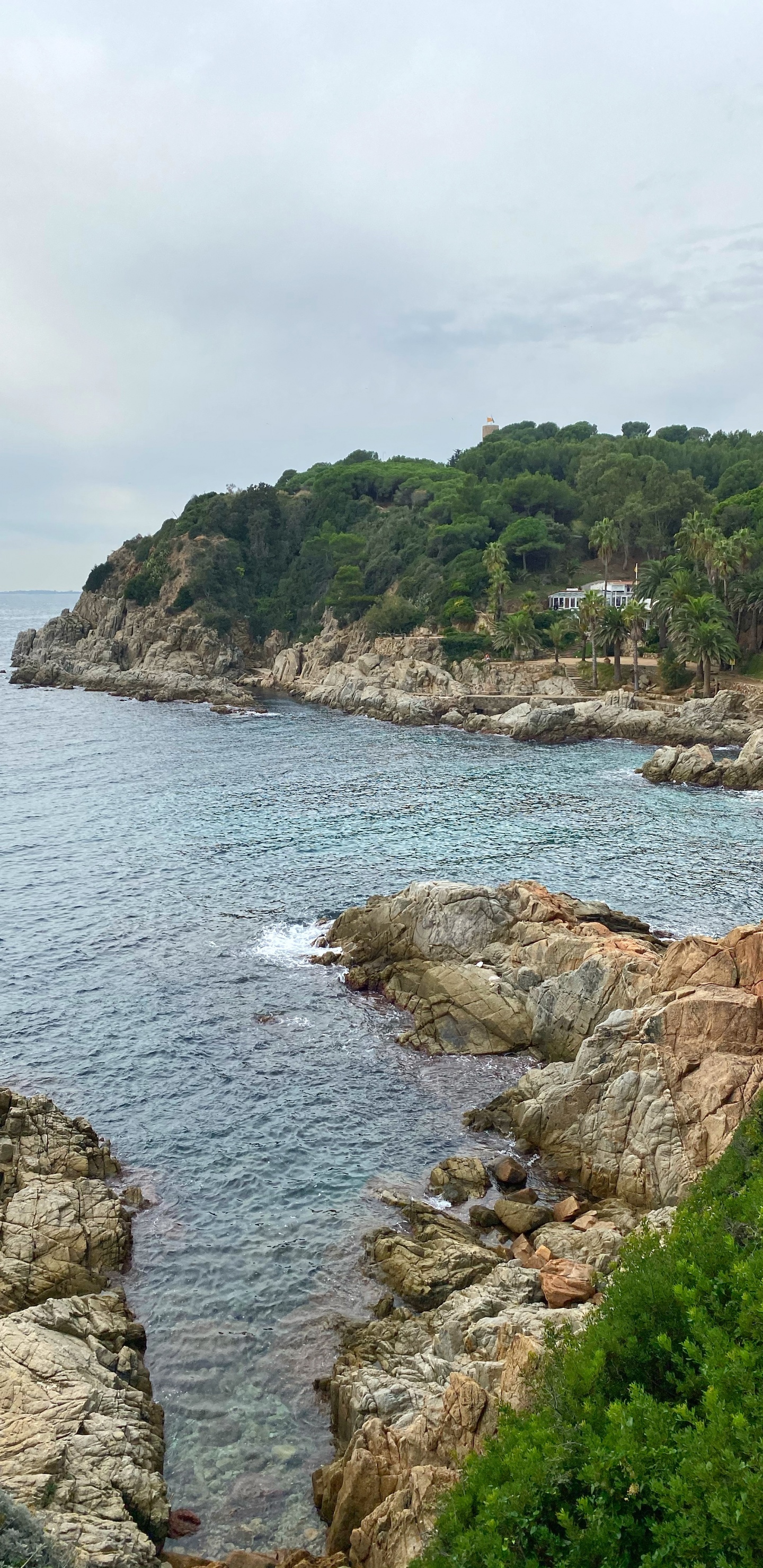 Costa, Promontorio, Cove, Cuerpo de Agua, la Vegetación. Wallpaper in 1440x2960 Resolution