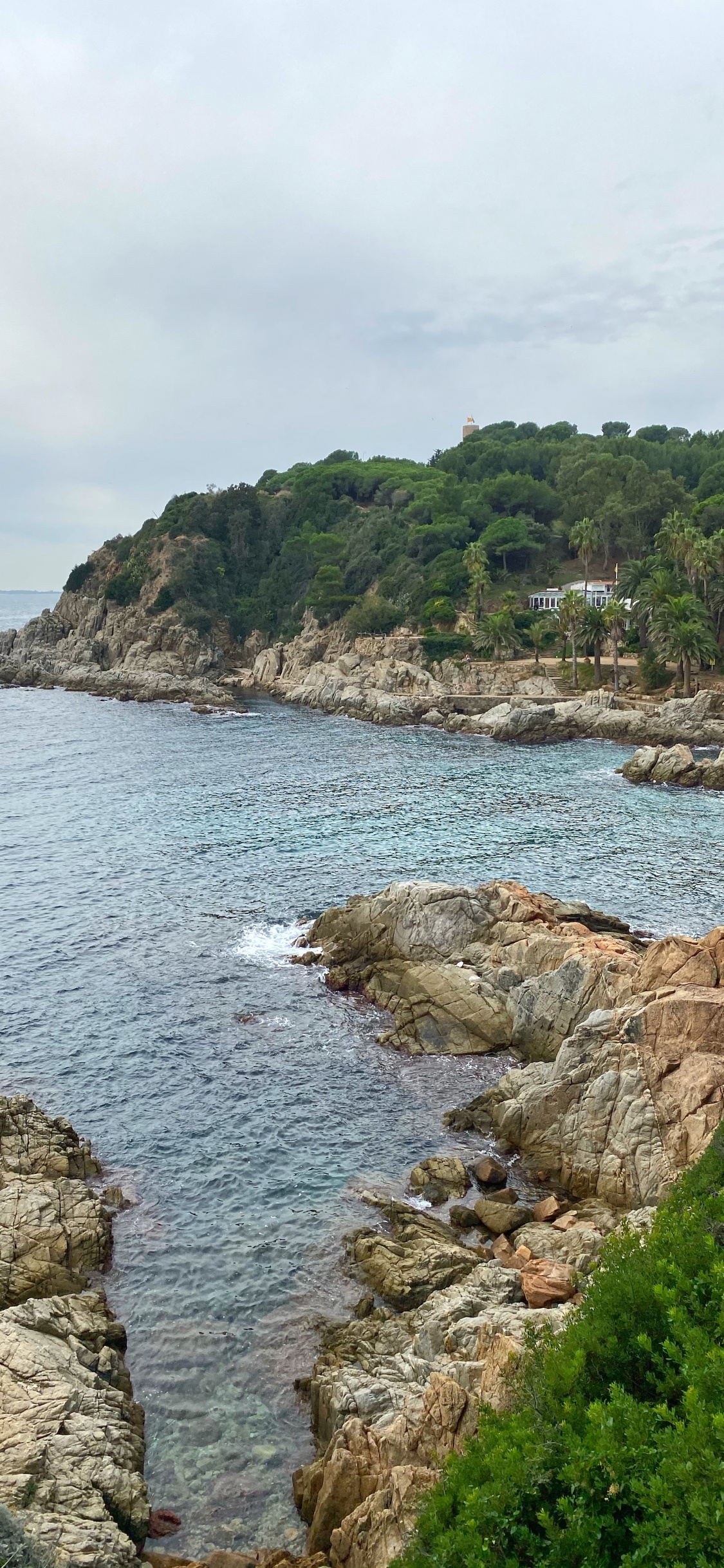 Côte, Promontoire, Cove, Corps de L'eau, Végétation. Wallpaper in 1125x2436 Resolution