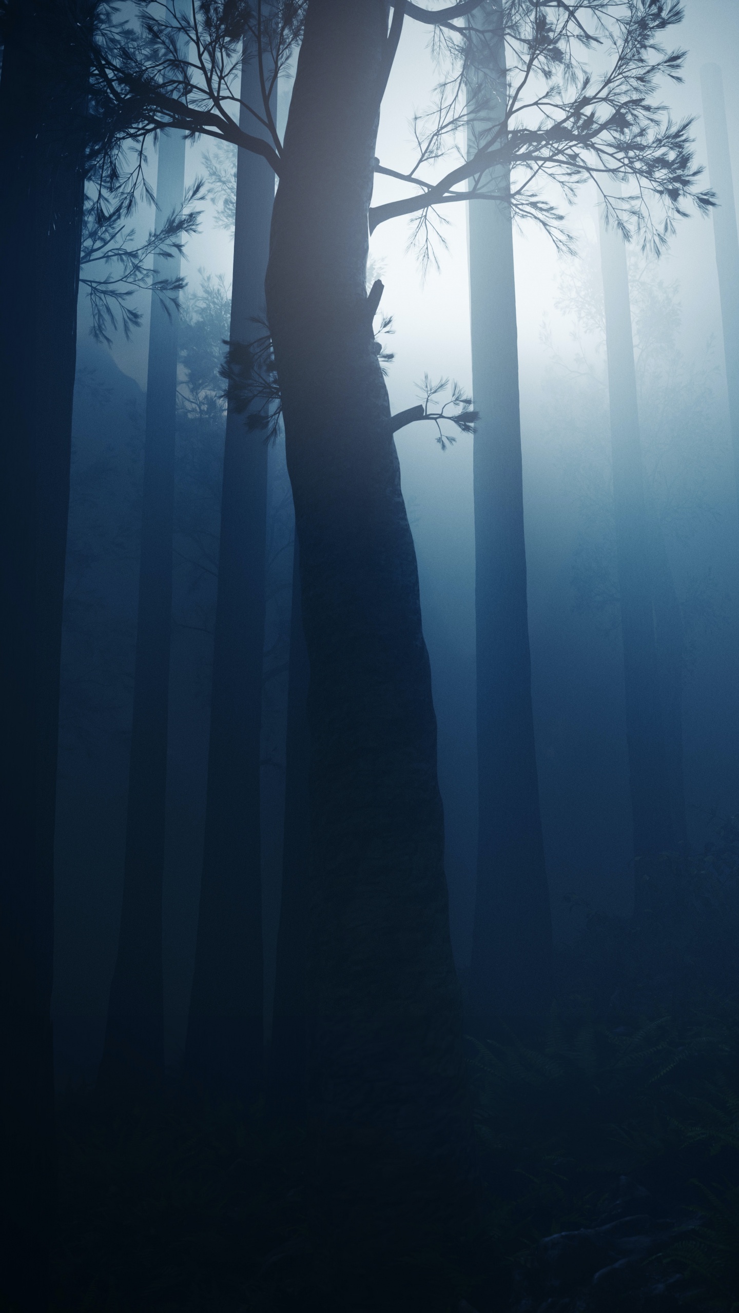 Ambiente, Agua, Puente, Exclusivo, Madera. Wallpaper in 1440x2560 Resolution