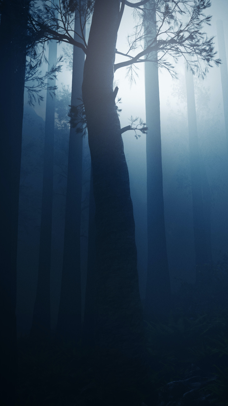 Ambiente, Agua, Puente, Exclusivo, Madera. Wallpaper in 750x1334 Resolution