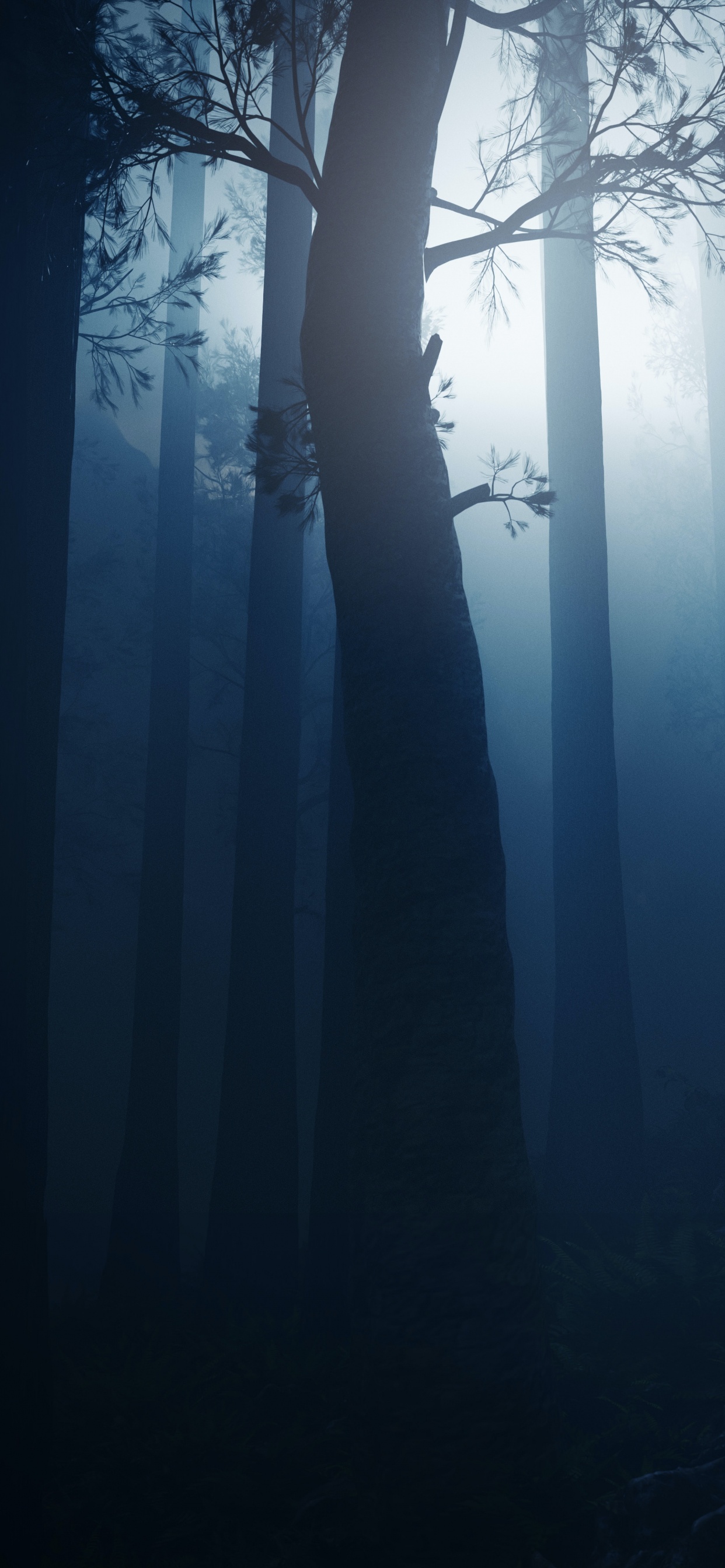 Atmosphäre, Wasser, Brücke, Exklusiv, Holz. Wallpaper in 1242x2688 Resolution