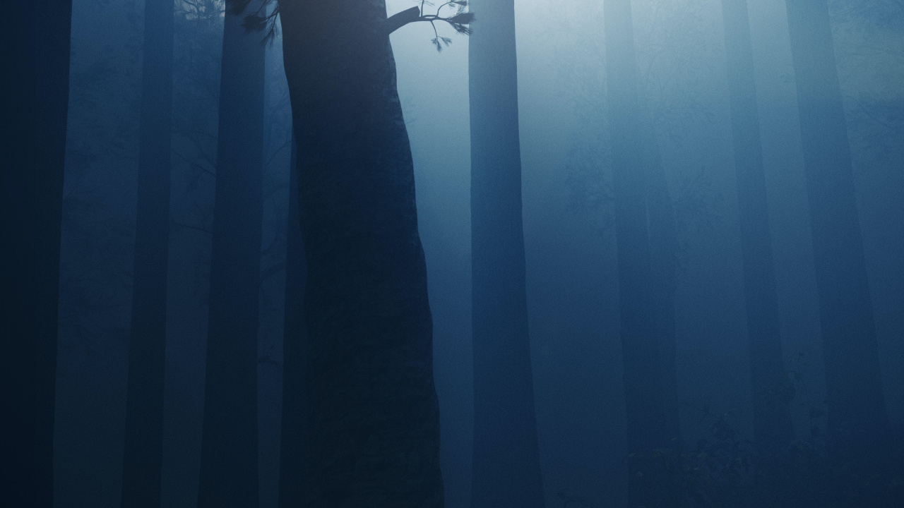 Atmosphère, Eau, Pont, Exclusif, Paysage Naturel. Wallpaper in 1280x720 Resolution