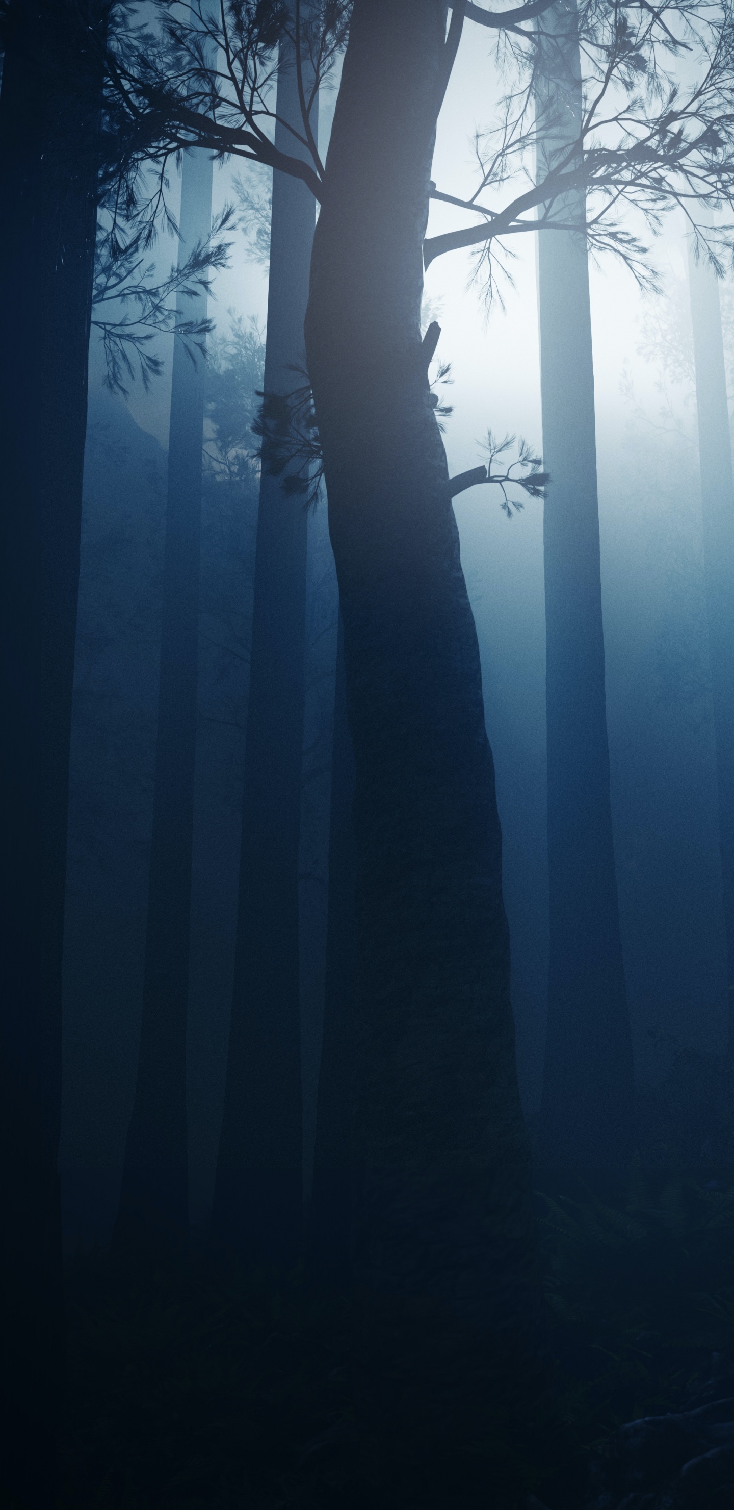 Atmosphère, Eau, Pont, Exclusif, Paysage Naturel. Wallpaper in 1440x2960 Resolution