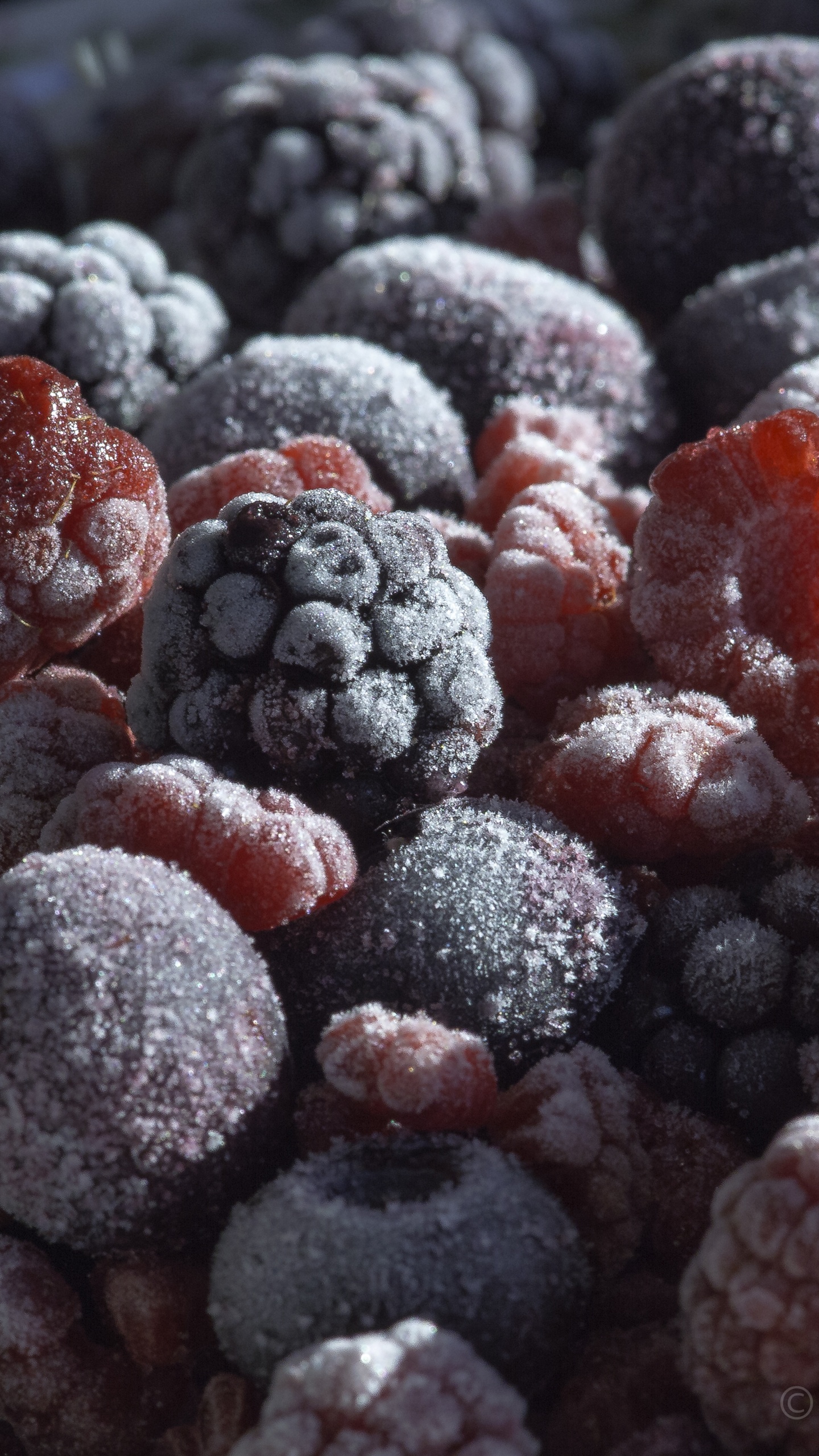 Black Berries on Black Surface. Wallpaper in 1440x2560 Resolution