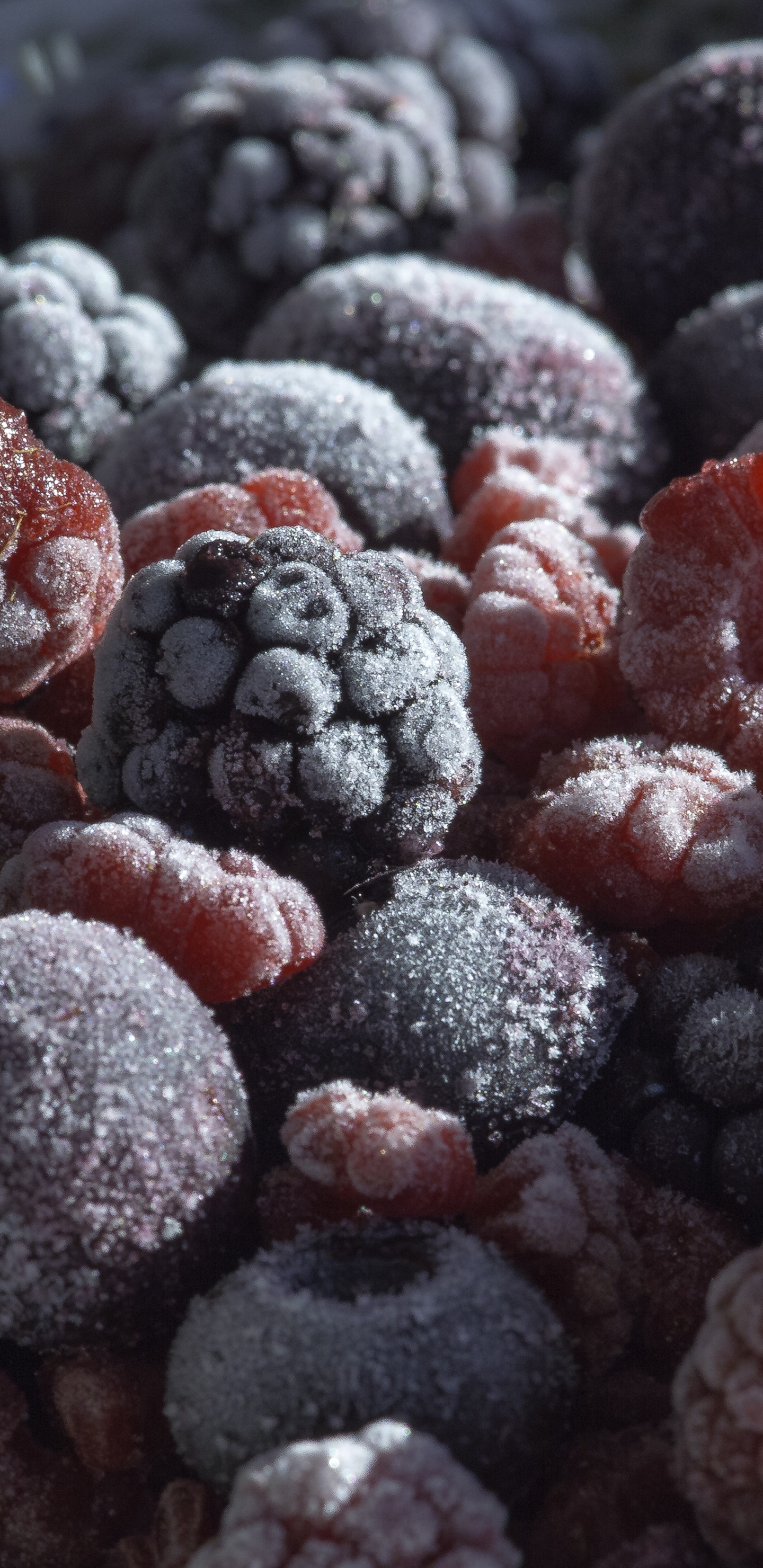 Black Berries on Black Surface. Wallpaper in 1440x2960 Resolution