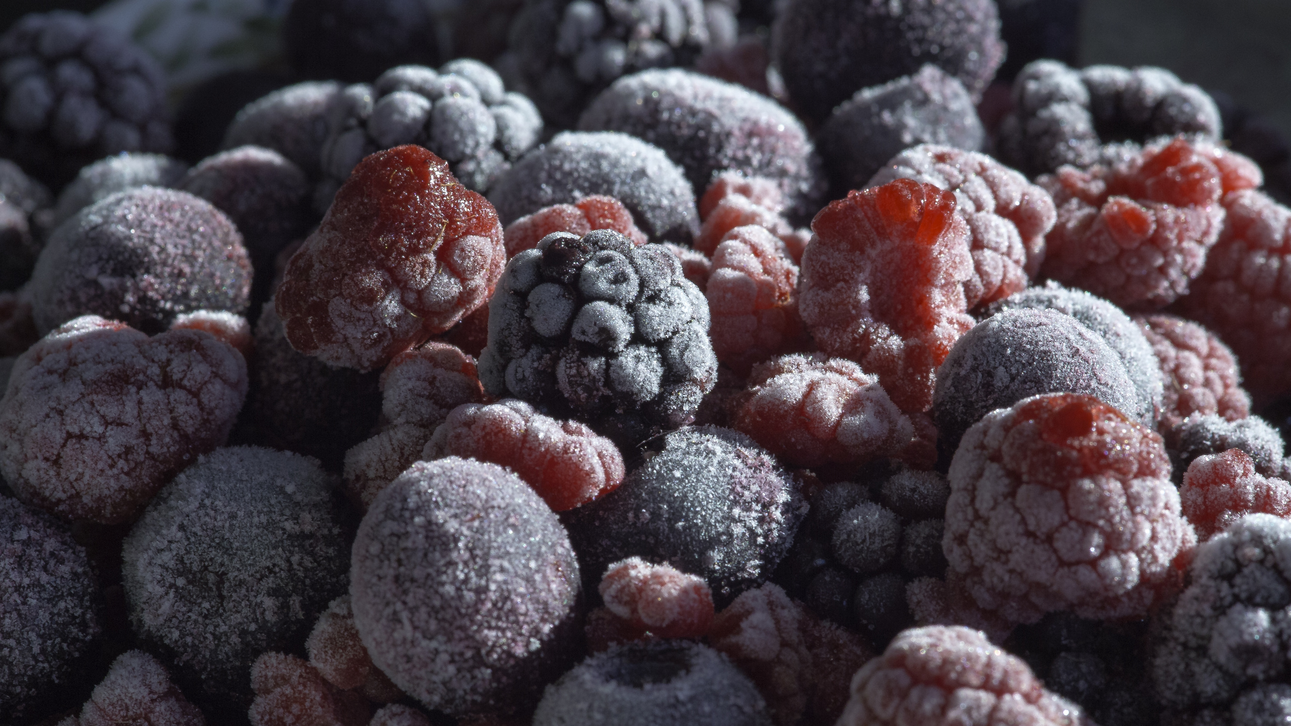 Black Berries on Black Surface. Wallpaper in 2560x1440 Resolution