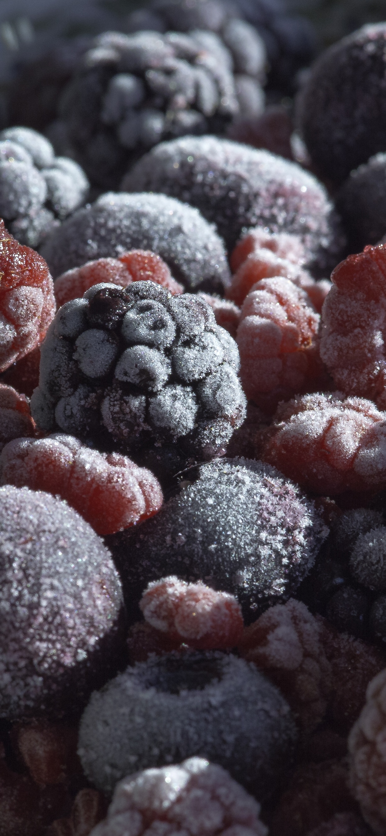蓝莓, 树莓, 食品, 天然的食物, 甜头 壁纸 1242x2688 允许