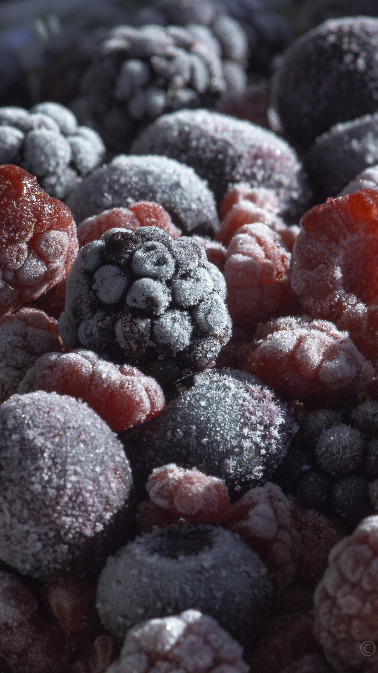 蓝莓, 树莓, 食品, 天然的食物, 甜头 壁纸 750x1334 允许