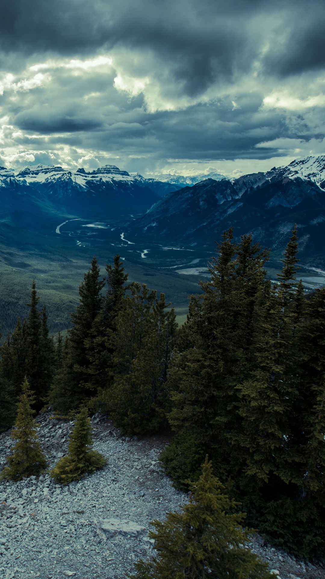 Grüne Pinien Auf Schneebedecktem Boden Unter Weißen Wolken Und Blauem Himmel Tagsüber. Wallpaper in 1080x1920 Resolution