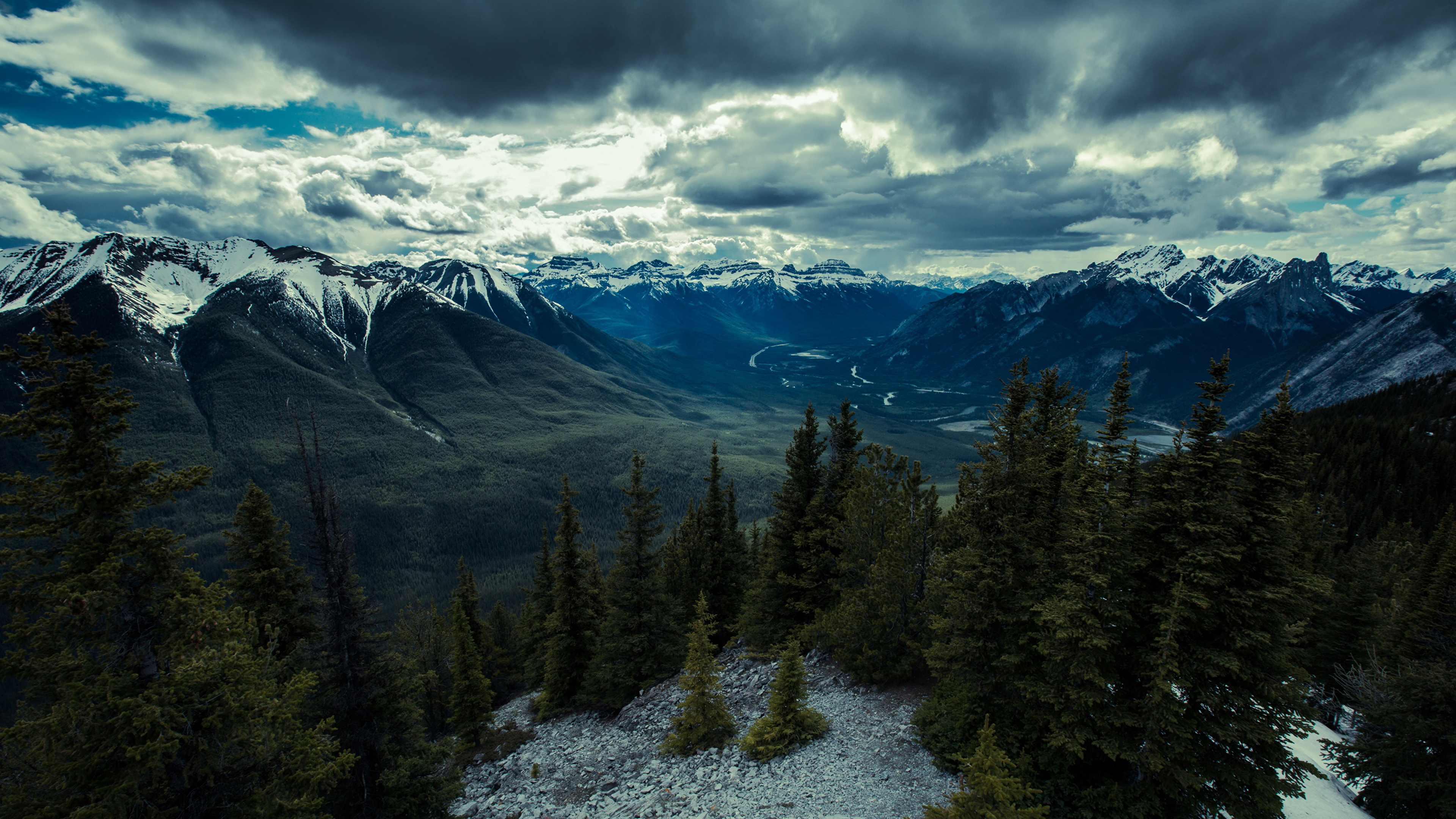 Grüne Pinien Auf Schneebedecktem Boden Unter Weißen Wolken Und Blauem Himmel Tagsüber. Wallpaper in 3840x2160 Resolution