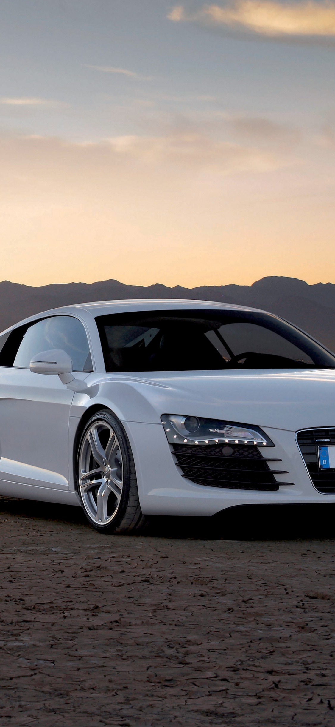 奥迪, 奥迪r8, 奥迪r8 Coupe, 性能车 壁纸 1125x2436 允许