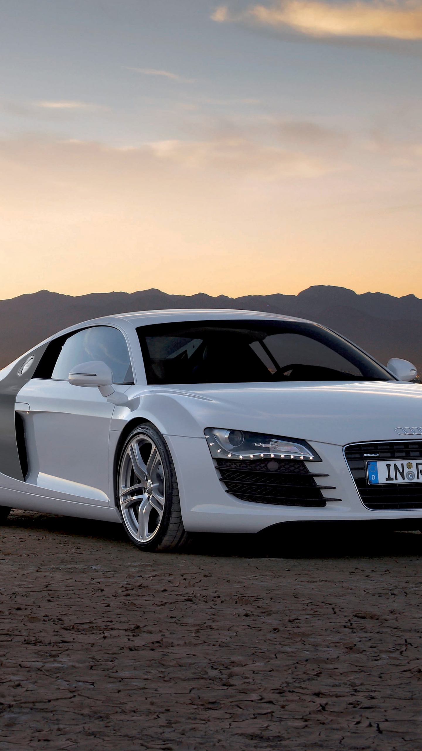 奥迪, 奥迪r8, 奥迪r8 Coupe, 性能车 壁纸 1440x2560 允许