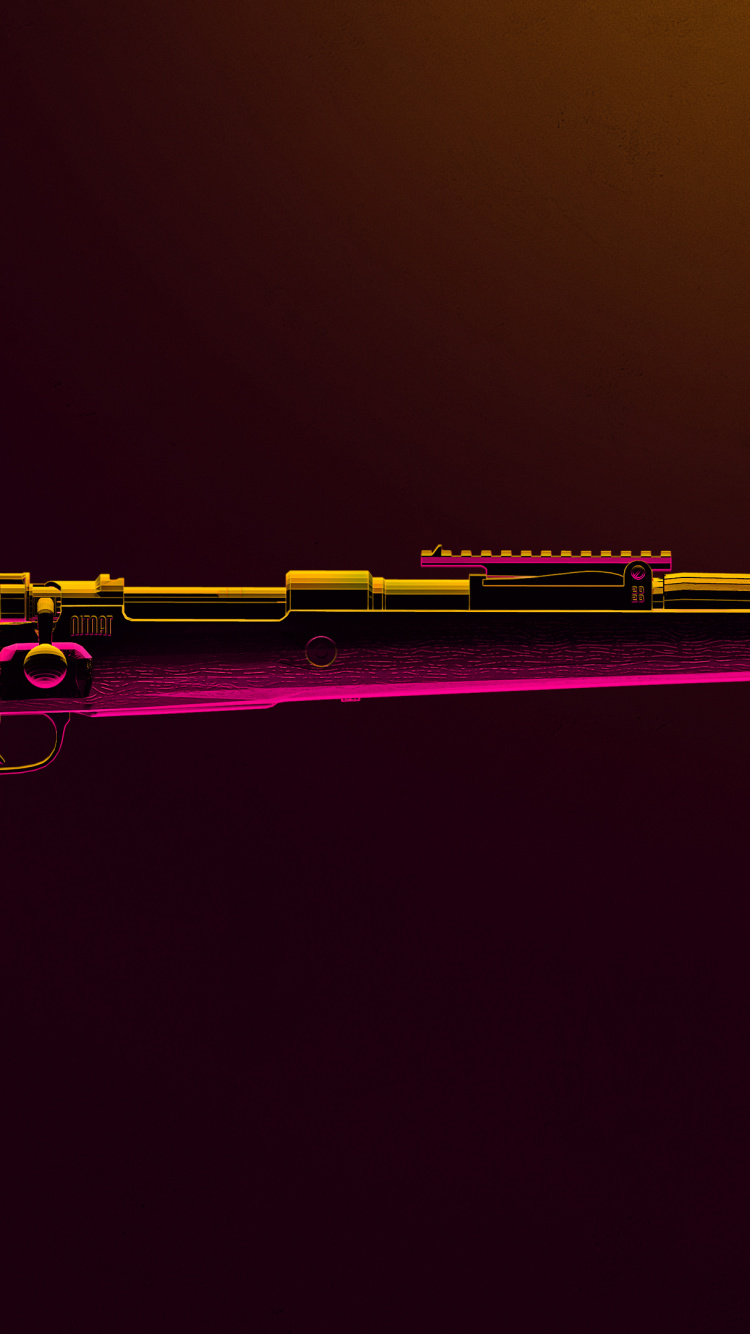 PUBG, PLAYERUNKNOWN'S BATTLEGROUNDS, Carabina 98k, Dispositivo Electrónico, Carretera. Wallpaper in 750x1334 Resolution