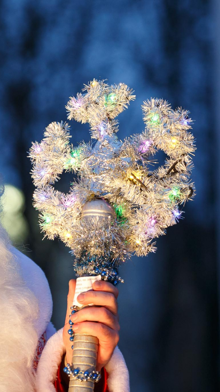 Tradition, Les Poils du Visage, Cheveu, Événement. Wallpaper in 750x1334 Resolution