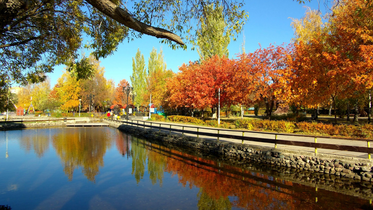 Body of Water Near Trees During Daytime. Wallpaper in 1280x720 Resolution