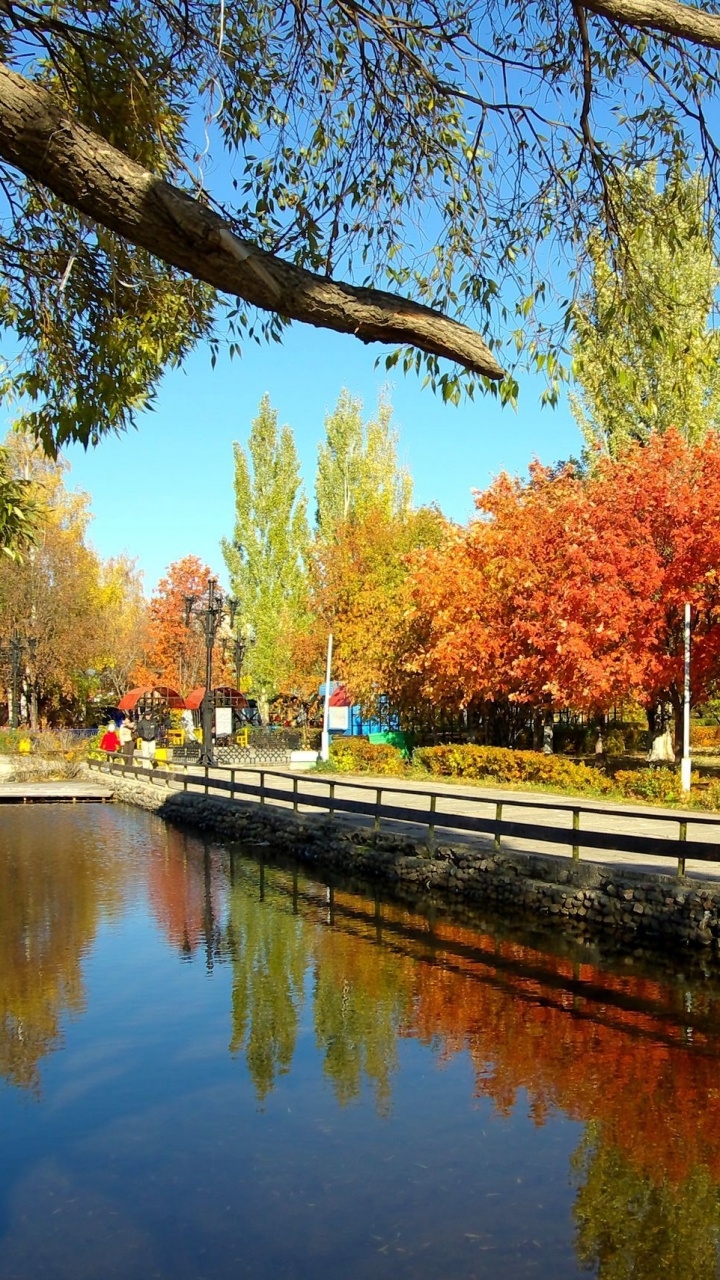 Body of Water Near Trees During Daytime. Wallpaper in 720x1280 Resolution