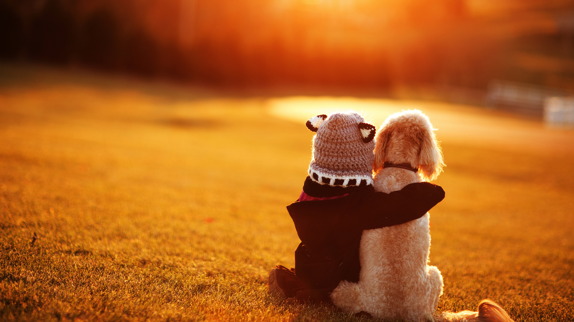 Peluche Bonhomme de Neige Blanc et Rouge Sur Champ Brun Pendant la Journée. Wallpaper in 1920x1080 Resolution