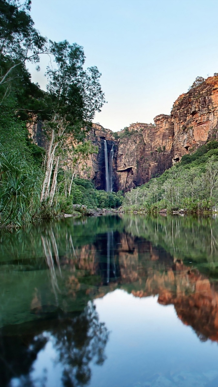 Árboles Verdes Junto al Cuerpo de Agua Durante el Día. Wallpaper in 720x1280 Resolution