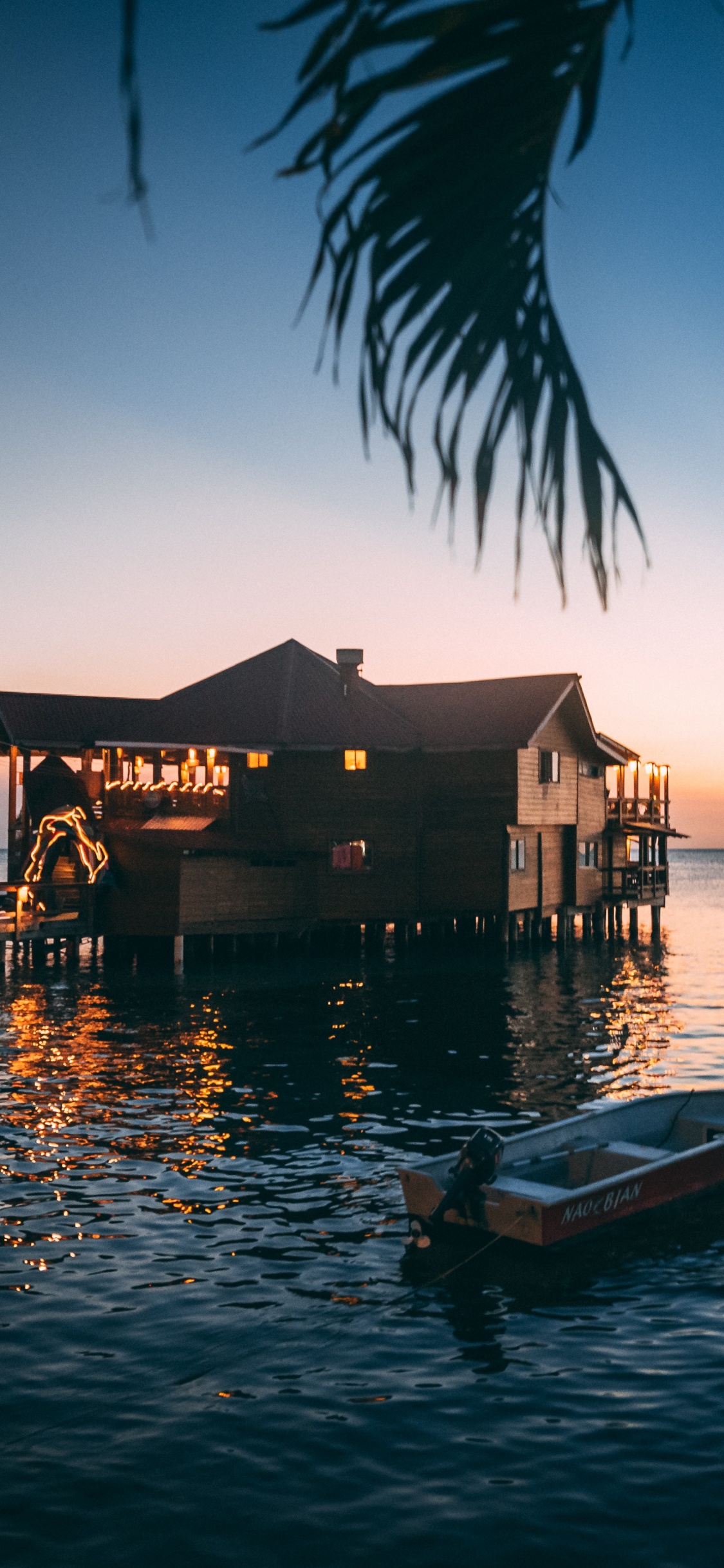 Tropics, Tree, Sea, Ocean, Water. Wallpaper in 1125x2436 Resolution