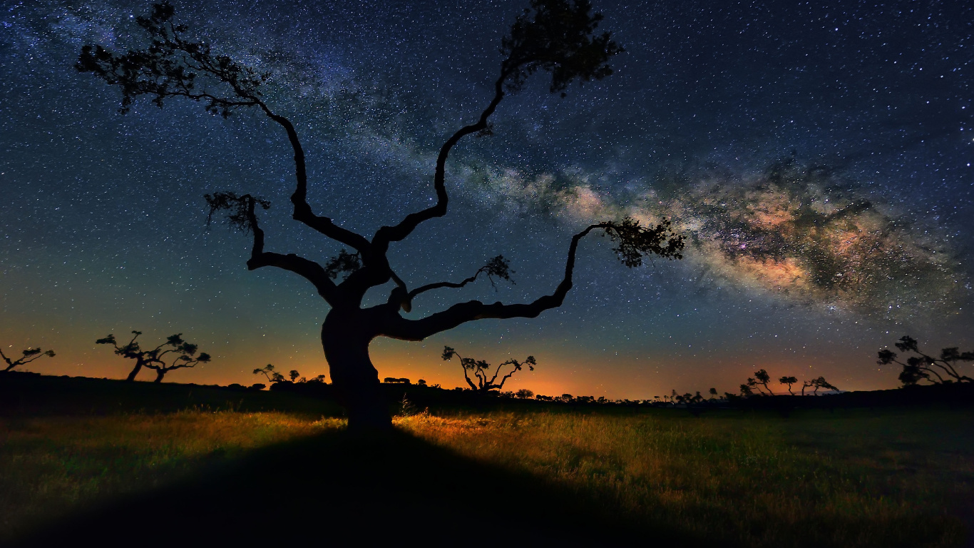 Silueta de Árboles Bajo un Cielo Azul Durante la Puesta de Sol. Wallpaper in 1366x768 Resolution