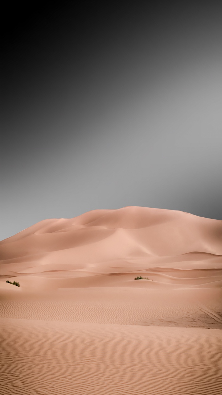 ERG, le Chant de Sable, Sand, Mètre, Dune. Wallpaper in 720x1280 Resolution