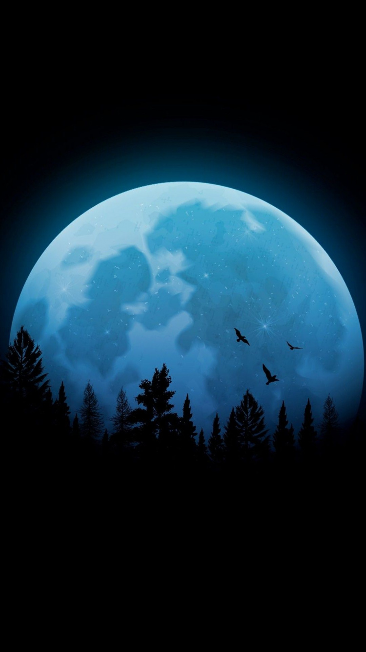 Amoled, Atmosphere, Nature, Astronomical Object, Night. Wallpaper in 750x1334 Resolution