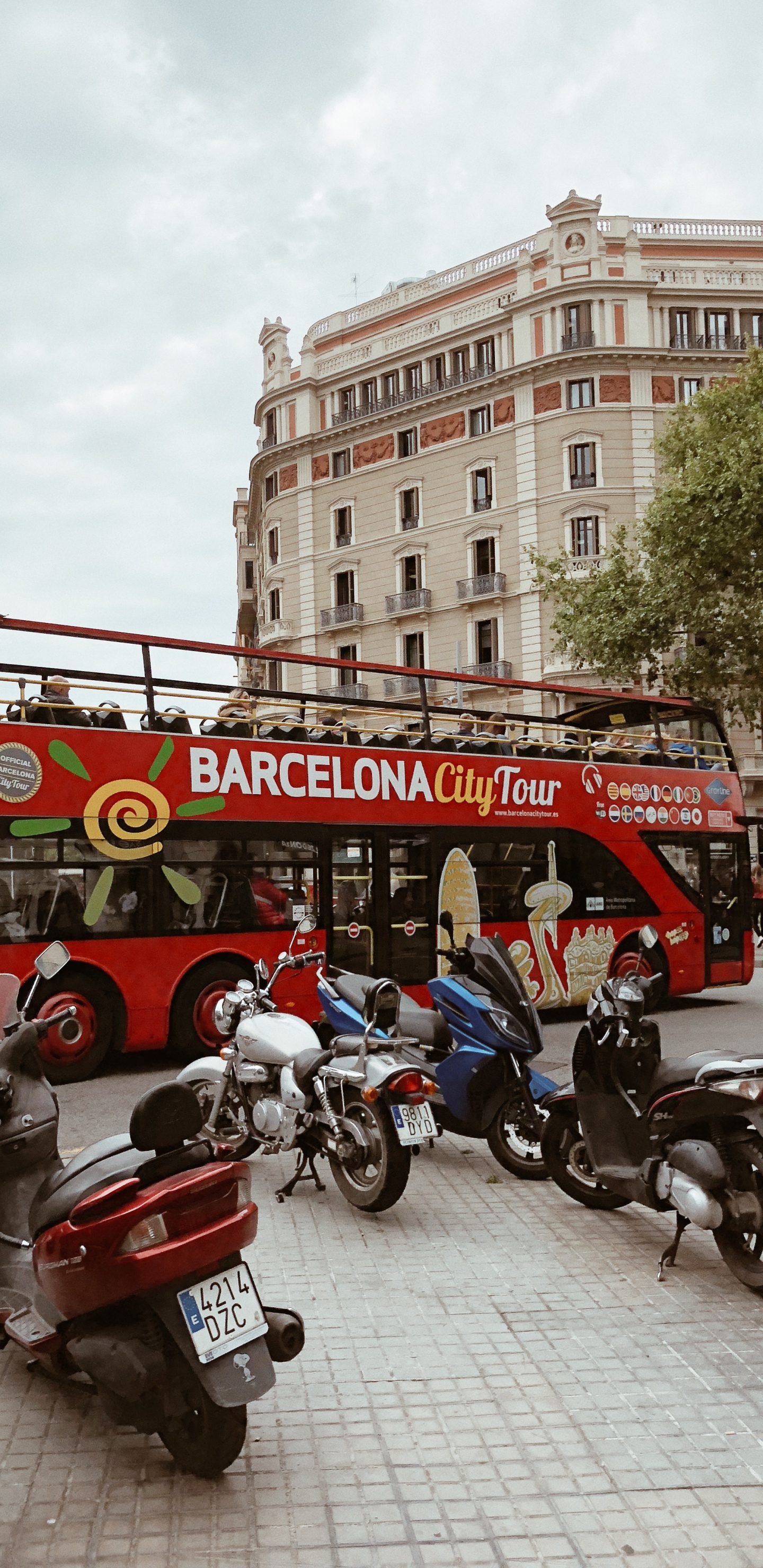 King, Street, Tire, Wheel, Transport. Wallpaper in 1440x2960 Resolution