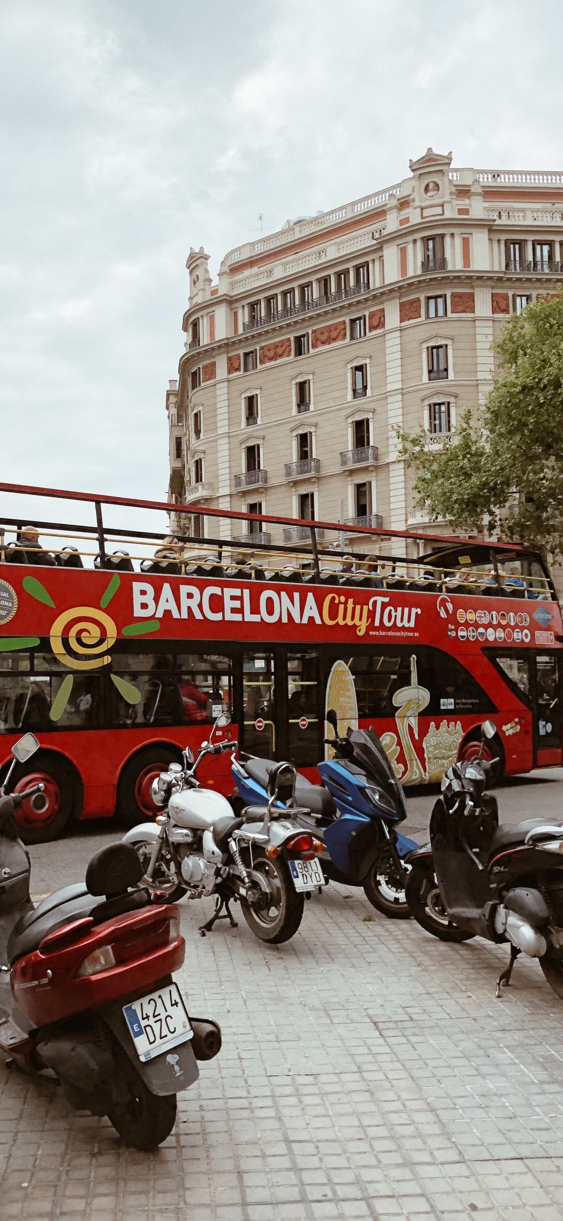 Rey, Neumatico, Rueda, Transporte, Motocicleta. Wallpaper in 1125x2436 Resolution