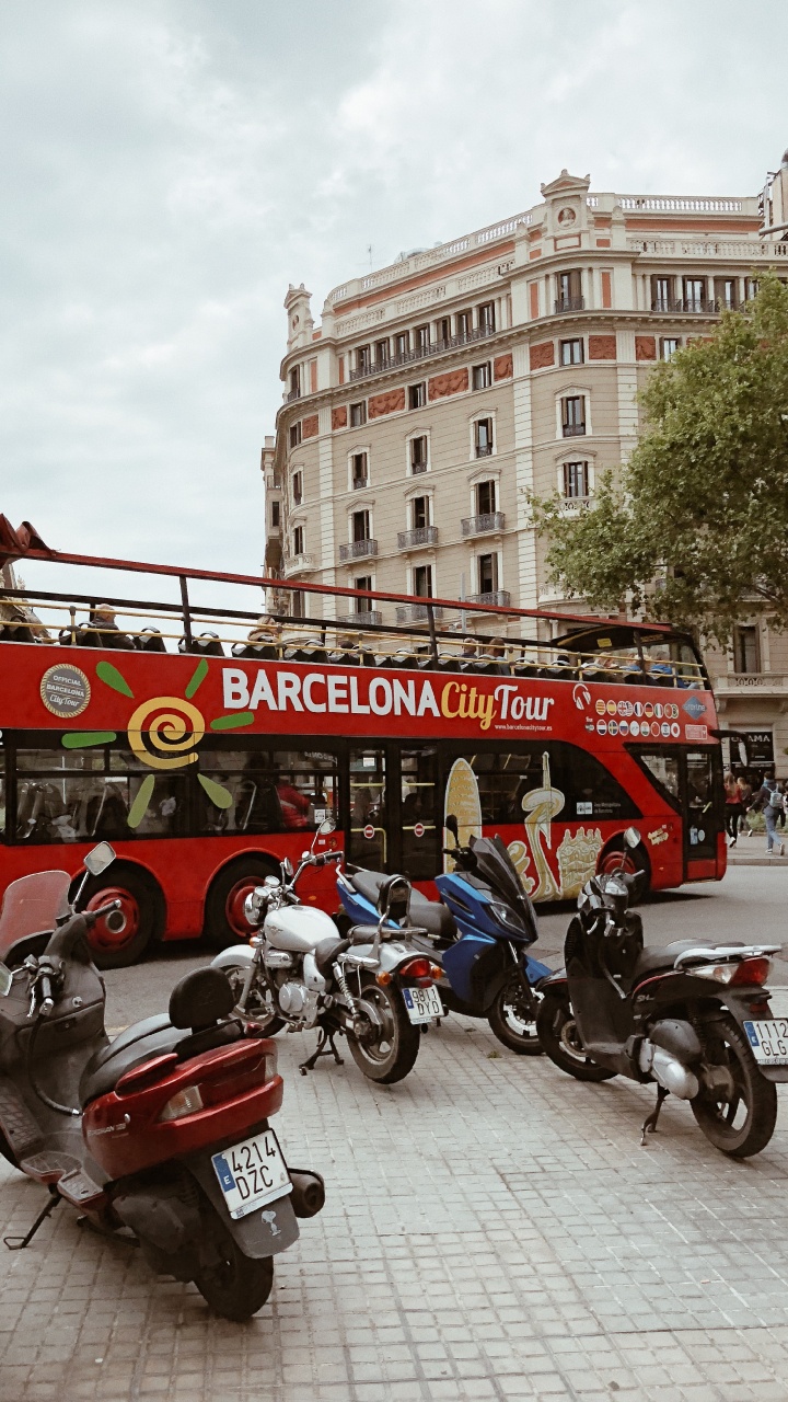 Roi, Rue, Pneu, Roue, Transport. Wallpaper in 720x1280 Resolution