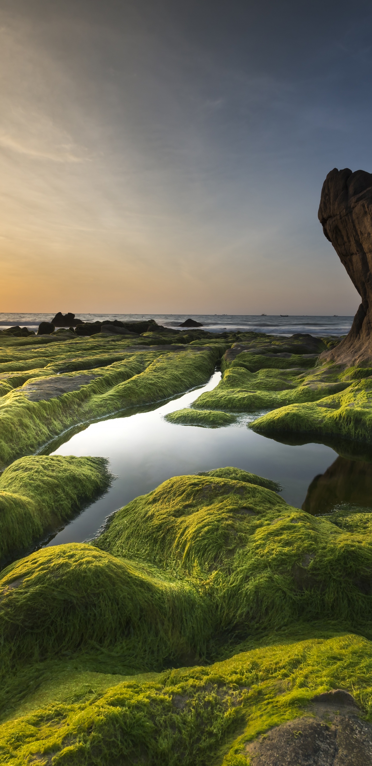 Aphanizomenon Flos Aquae, Oberer Klamath See, Cloud, Wasserressourcen, Wasser. Wallpaper in 1440x2960 Resolution