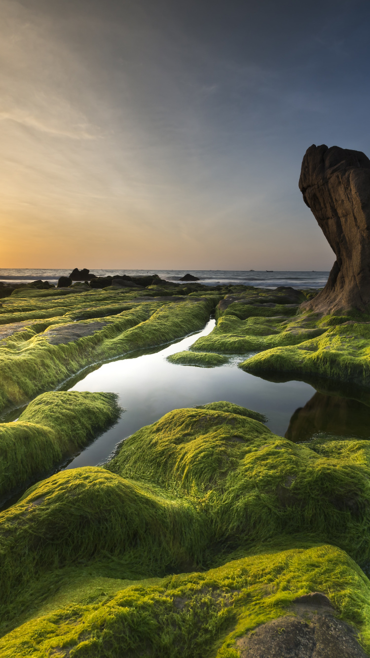 Aphanizomenon Flos Aquae, Oberer Klamath See, Cloud, Wasserressourcen, Wasser. Wallpaper in 750x1334 Resolution