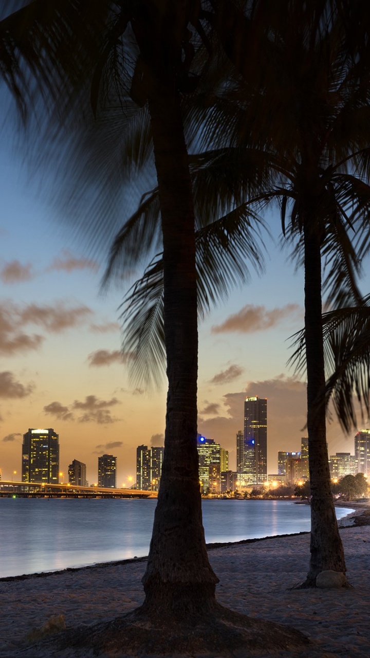 Palm Tree Near Body of Water During Sunset. Wallpaper in 720x1280 Resolution