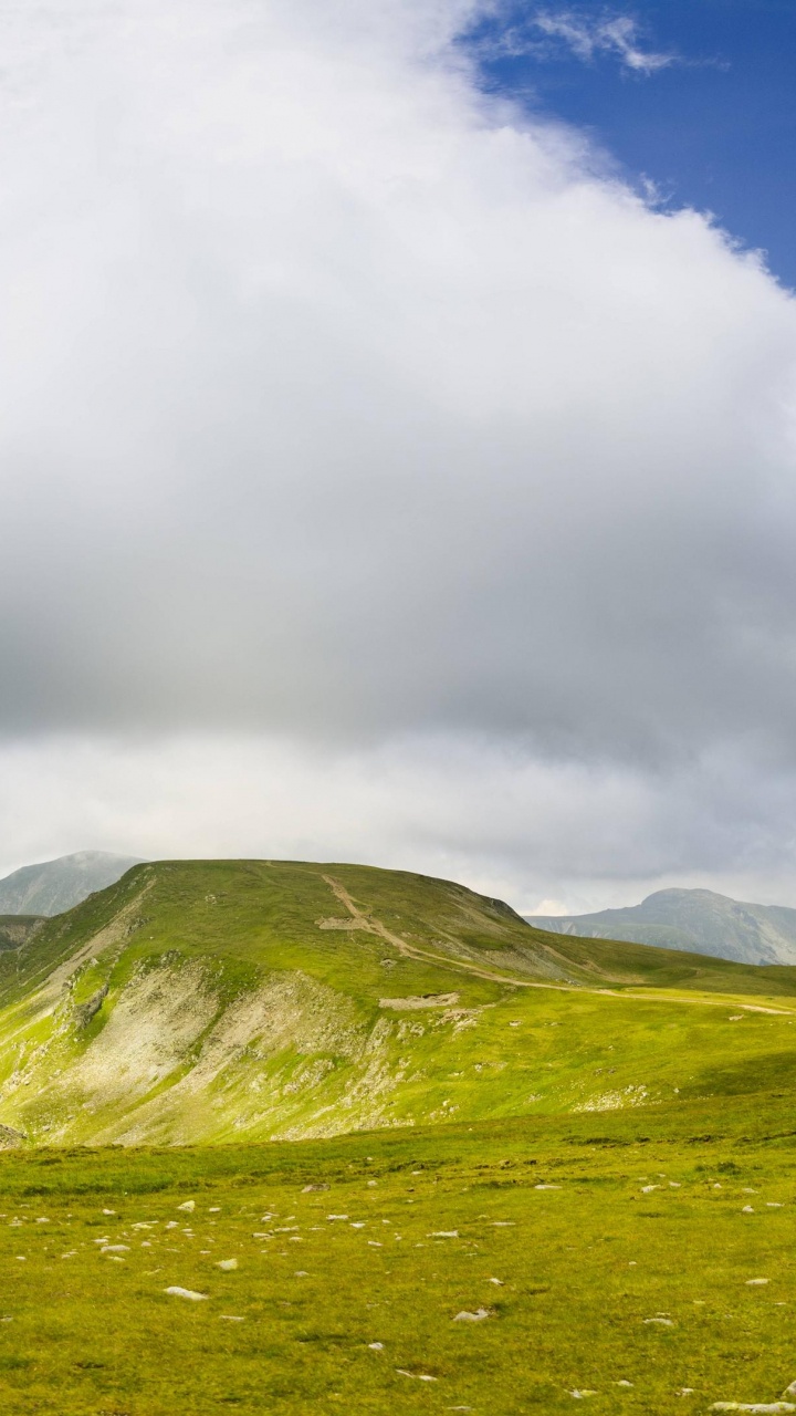 Green Grass Field Under White Clouds. Wallpaper in 720x1280 Resolution