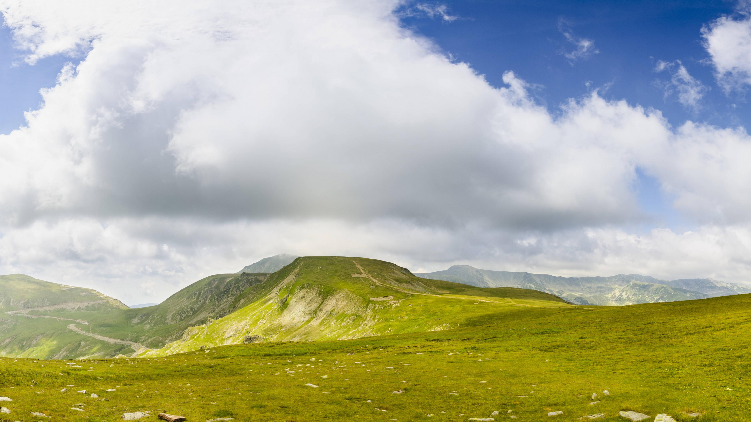 Campo de Hierba Verde Bajo Nubes Blancas. Wallpaper in 2560x1440 Resolution